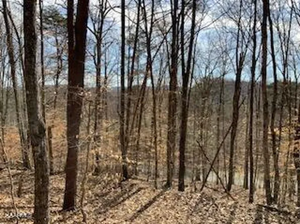 L-174 Lakeview Dr, Sharps Chapel, TN 37866