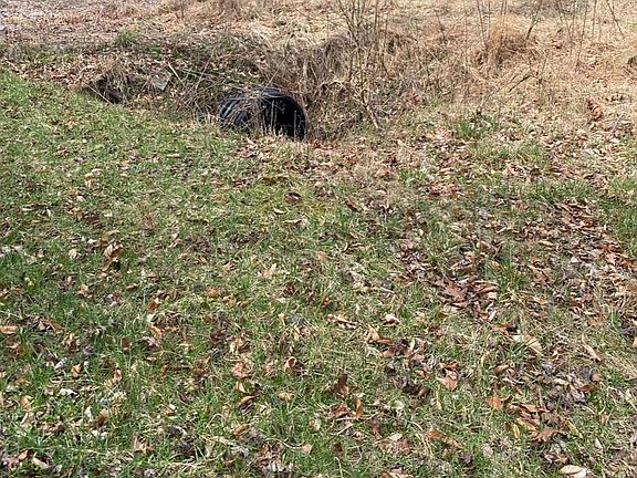 4th image of 36 Rays Br