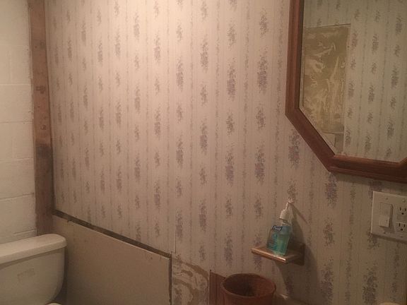 Downstairs bath