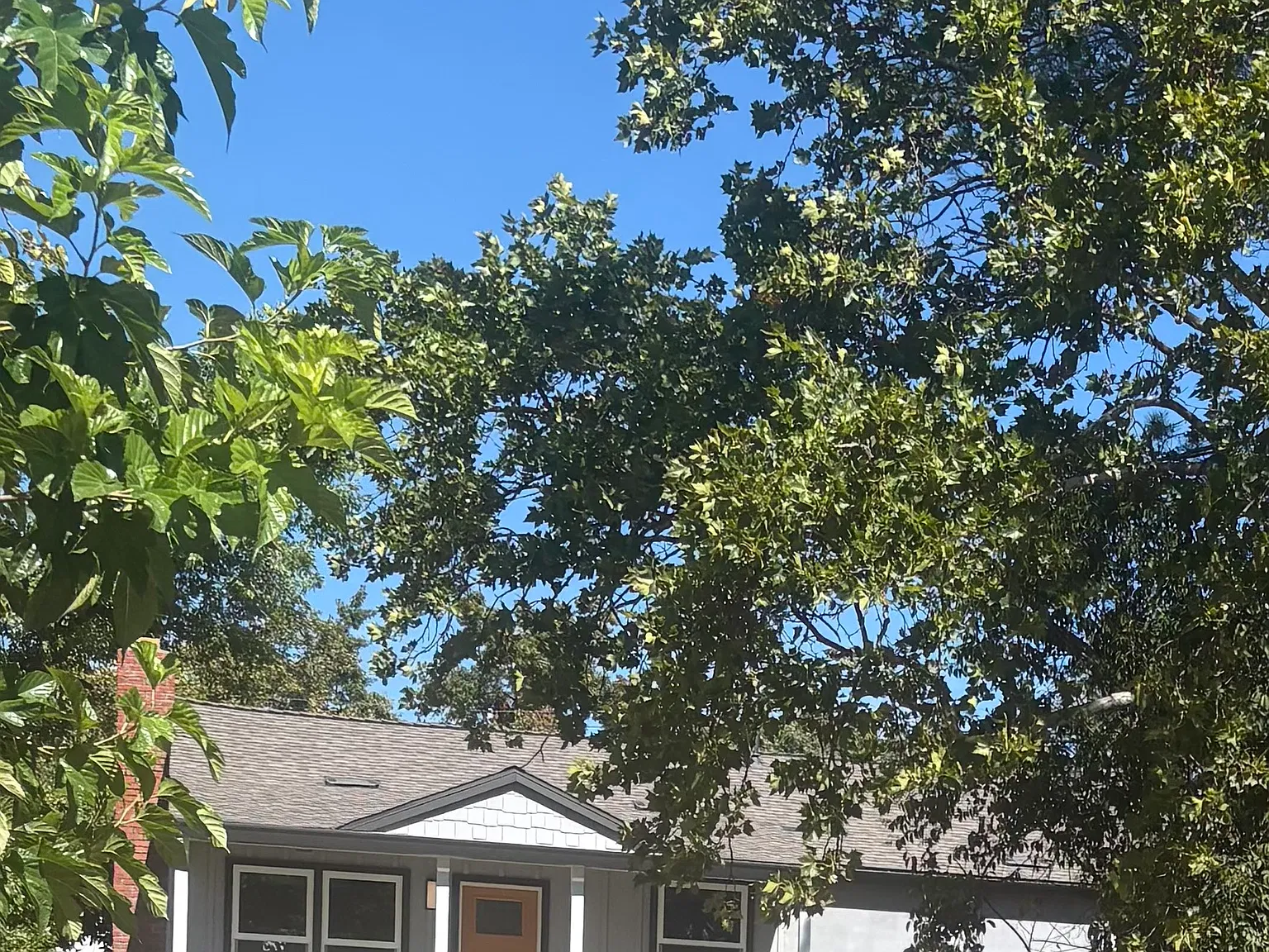 3 bed, 1290 sqft, $2,850 — Photo 2