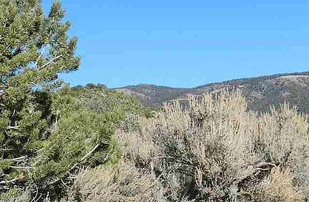 1st image of 21662 Rito Seco Rd