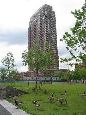 Lots of park area and river promenade