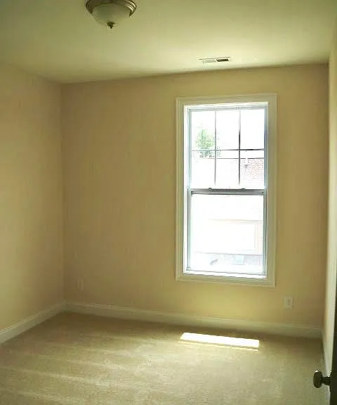 529 Balsam Fir Dr — Photo 15