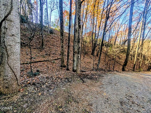 4th image of 194 Ski View Lane