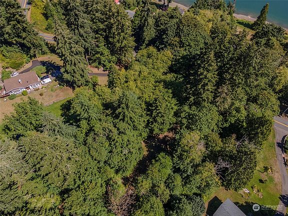 Most trees that you see are on the property up to street on Goodrich.>