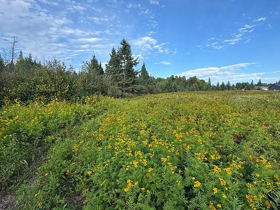 2nd image of Gull Lake Loop Rd NW