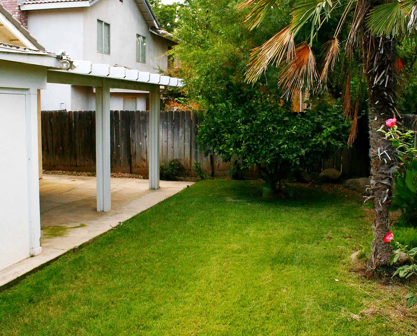 Robinwood - 1 — Photo 4