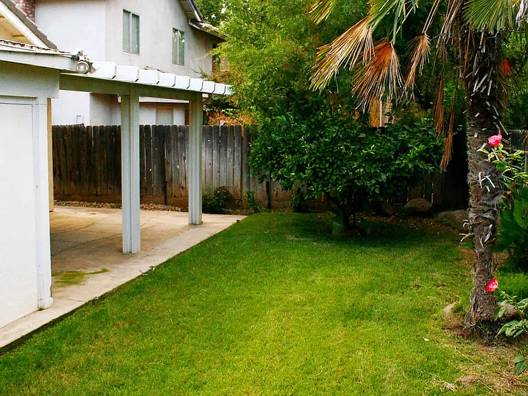 Back Yard