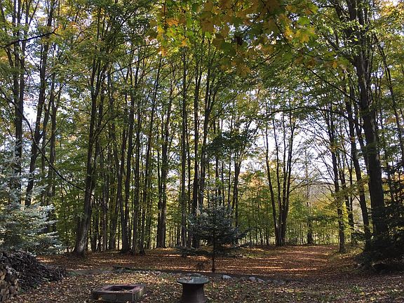 5th image of 1500 Pohutsky Trail 51.5 Acres