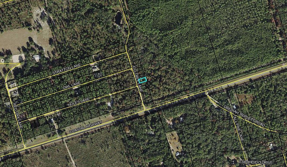2nd image of 6 Fig Tree Ln