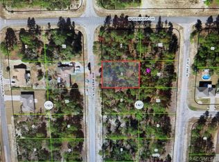 10585 N Caldera Ave, Citrus Springs, FL 34433