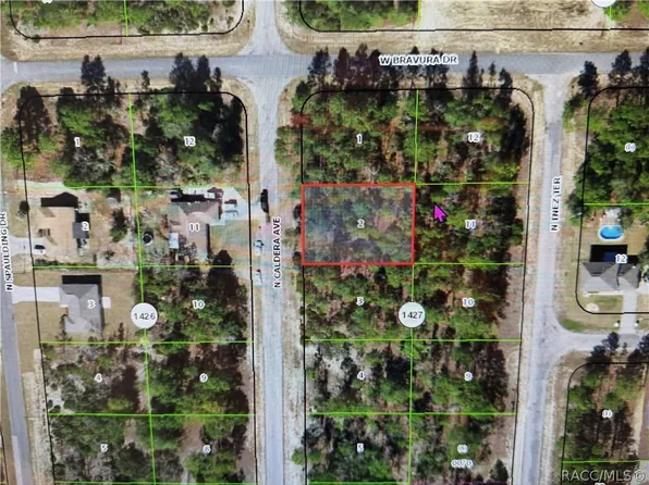 10585 N Caldera Ave, Citrus Springs, FL 34433