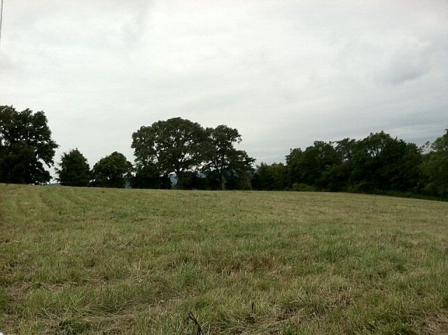2nd image of Gooseneck Rd E