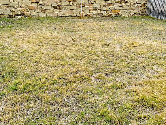 Backyard with no immediate house