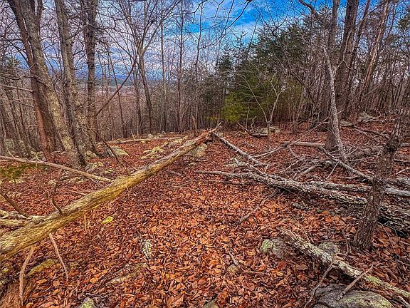 4th image of 2243 Sierra Trace Rd