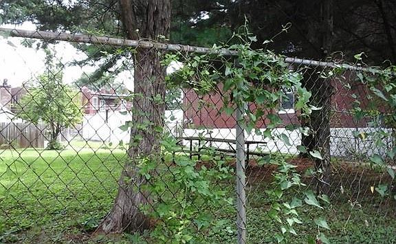 5th image of 3803-3805 Greer Ave