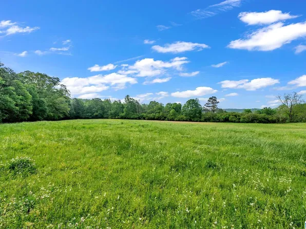 6245 Thompson Rd #0, Altoona, AL 35952