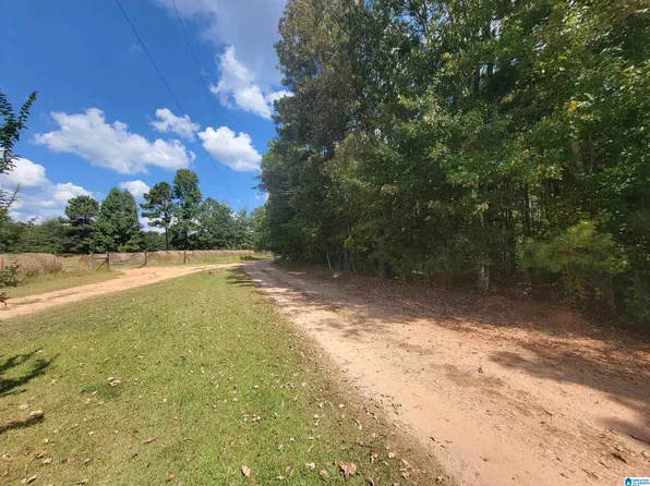 7/- County Road 907 Acres, Roanoke, AL 36274
