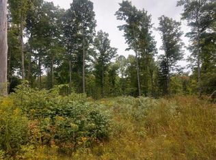 Strong Rd, Phelps, WI 54554