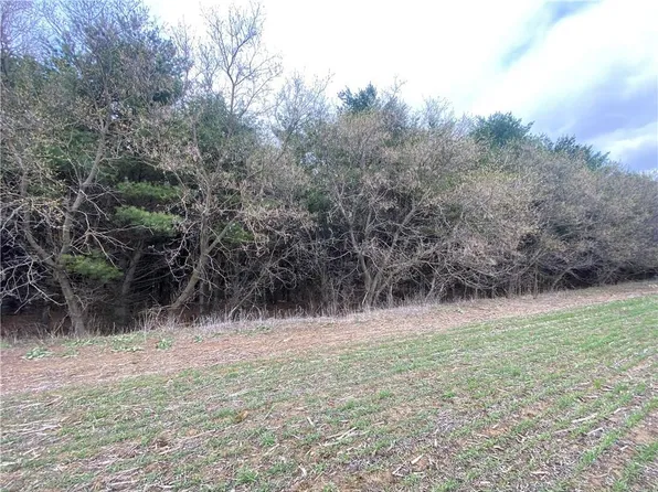 Lot 2 & 3 County B, Osseo, WI 54758