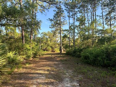SW 66th Pl, Cedar Key, FL, 32625