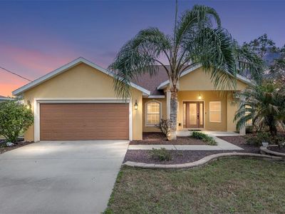 234 Locust Pass Loop, Ocala, FL, 34472
