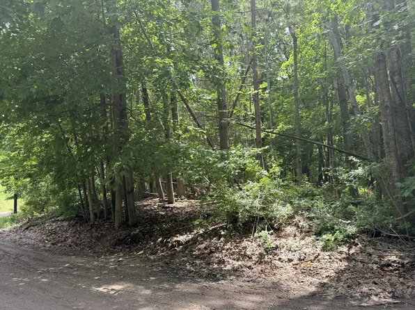 0 W Longbridge Rd, Pentwater, MI 49449