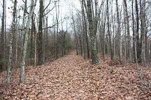 1st image of Goddard Ln