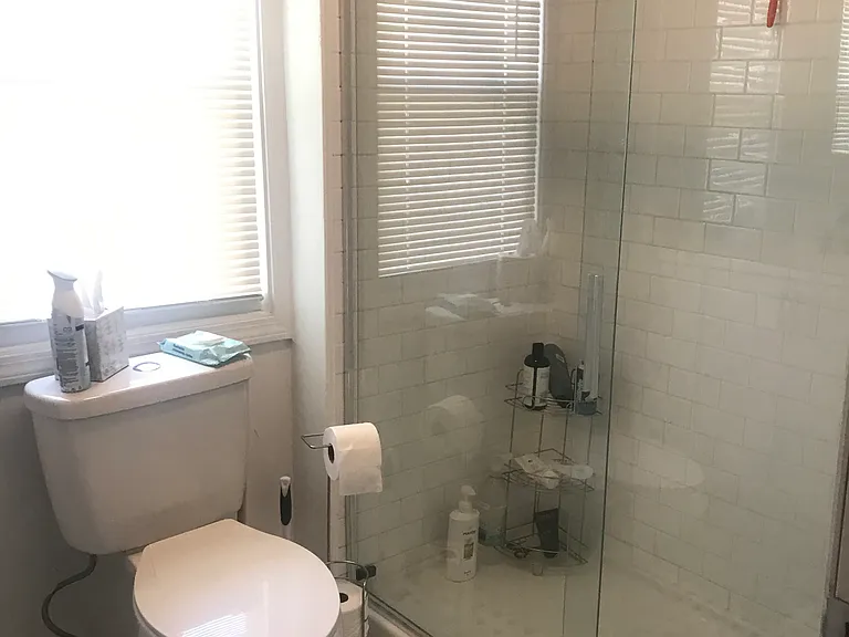 147 Spruce St #2 — Photo 5