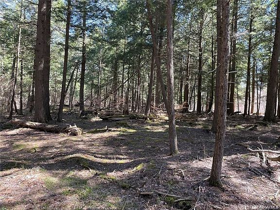 2nd image of Big Woods Rd