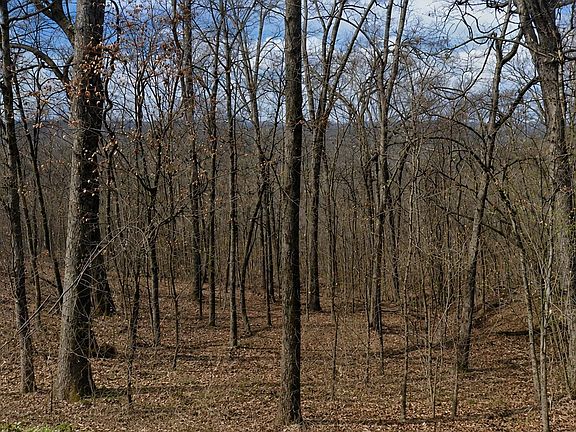 3rd image of LOT 25 Woodcliff Ln