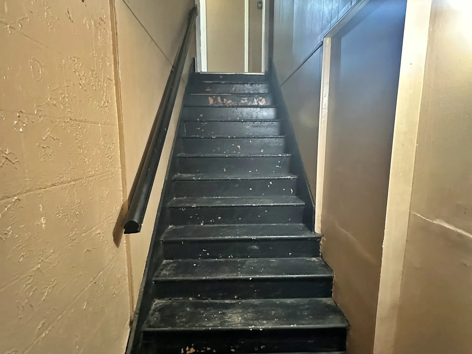 1 bed, 1.0 bath, 300 sqft, $785 — Photo 3