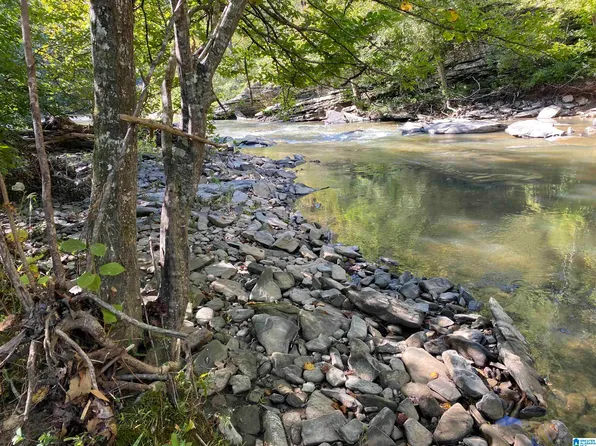 0 War Eagle Dr #1, Bessemer, AL 35022