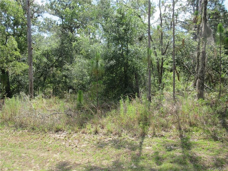 2nd image of 8295 N Primrose Dr