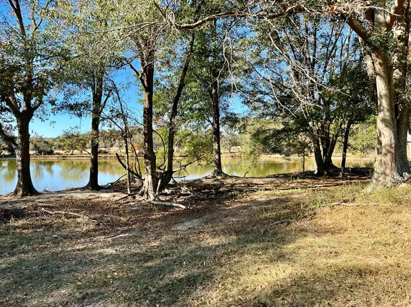 20AC County Road 114, Brundidge, AL 36010