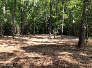 60 Laurel Rdg, Forsyth, GA 31029