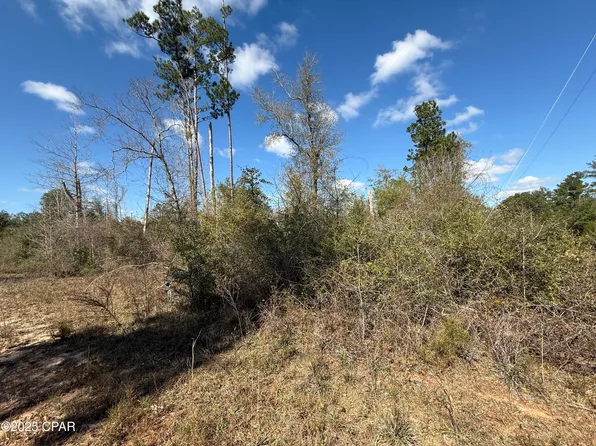 0 Tanager Dr, Marianna, FL 32448