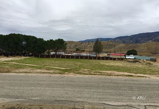 3rd image of Golden Spur