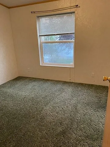 102 Green Tree Dr — Photo 3