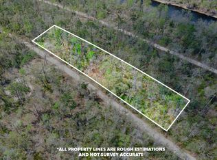 Suw Park Lots #42-49, Live Oak, FL 32060