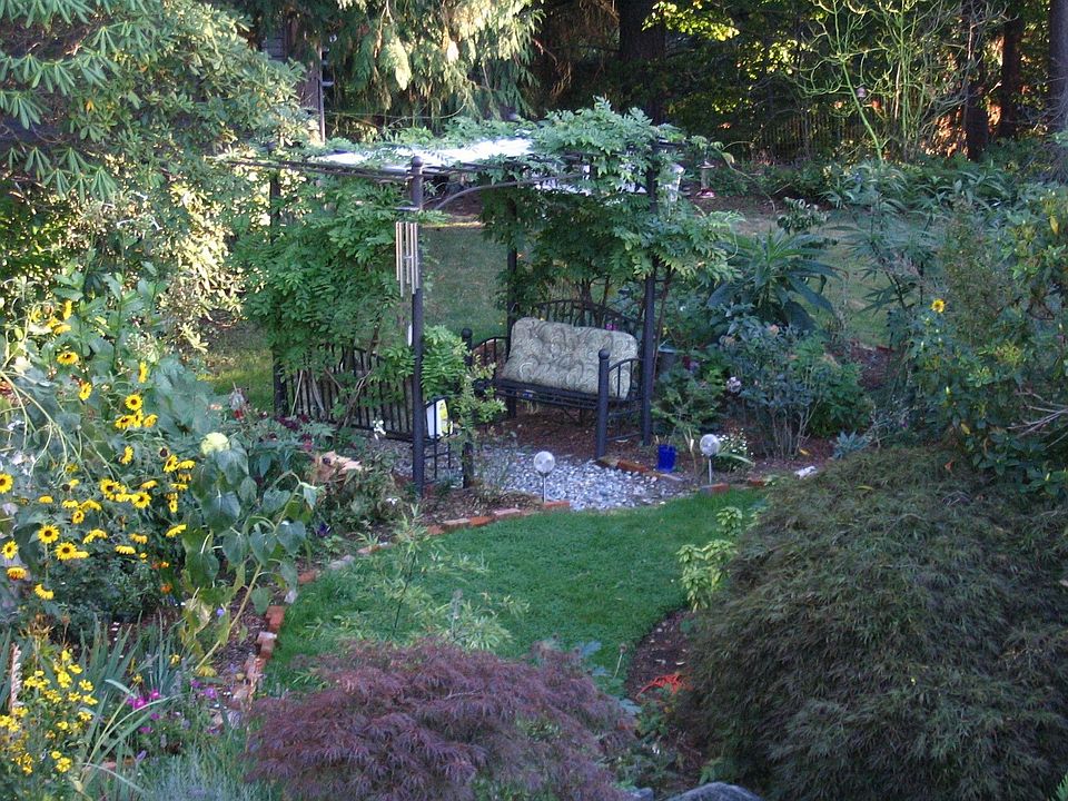 Roof top garden photo