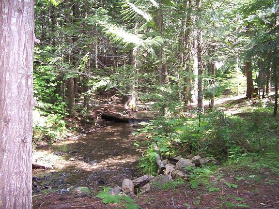 5th image of 12 Wolf Creek Rd