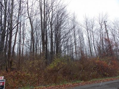 617 Ridge Rd, Vestal, NY, 13850