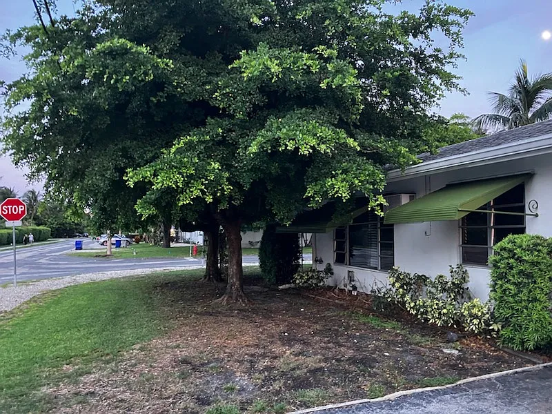 2 bed, 1600 sqft, $3,250 — Photo 3