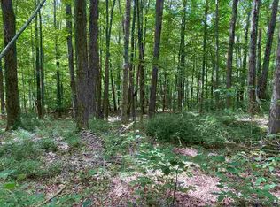 Oliverea Rd, Shandaken, NY 12410