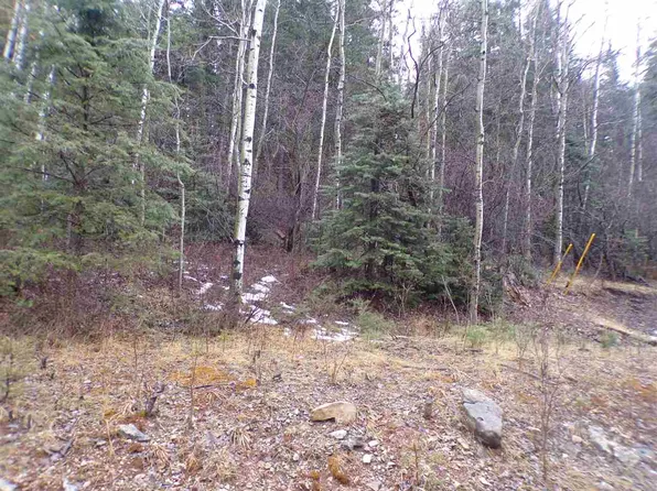 1214 Blanca Vis, Cloudcroft, NM 88317