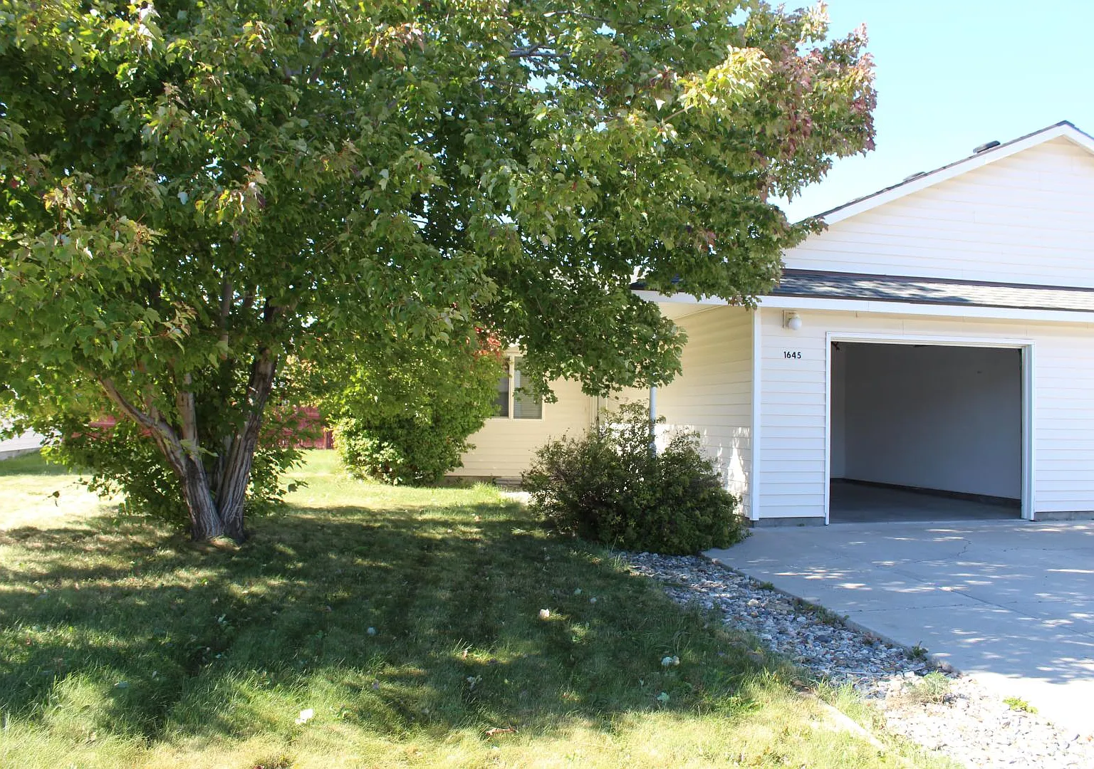 1645 Plum - 1645 Plum — Photo 1