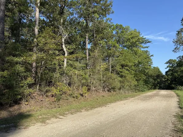 LOT 73 Shank Dr, Brookeland, TX 75931