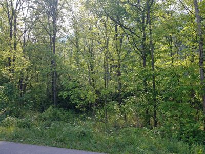 Irondale Rd, Big Stone Gap, VA, 24219