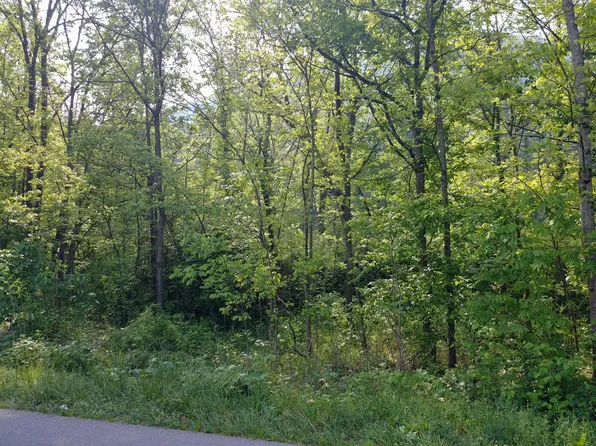 Irondale Rd, Big Stone Gap, VA 24219